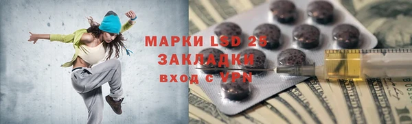 индика Балахна