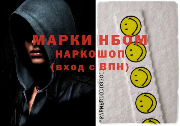 индика Балахна