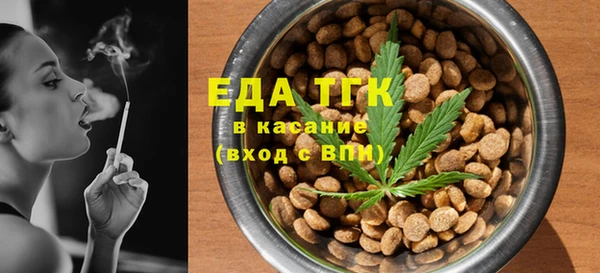 индика Балахна