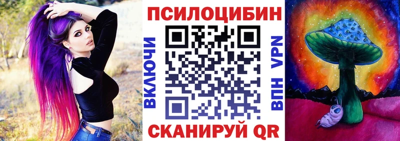 купить наркоту  это клад  Псилоцибиновые грибы прущие грибы  Чекалин  blacksprut tor 